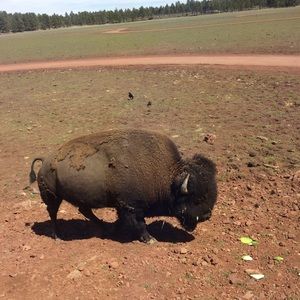 Meet your Posher, Aubri